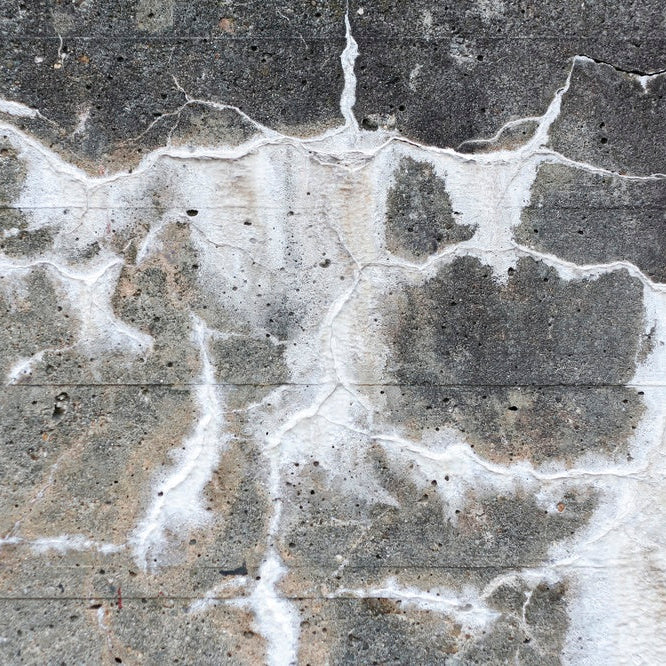 Weathered concrete surface showing white mineral deposits and efflorescence creating organic pattern on aged material